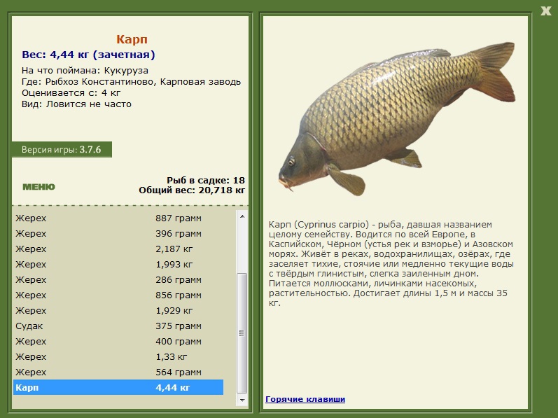 турниры • РУССКАЯ РЫБАЛКА