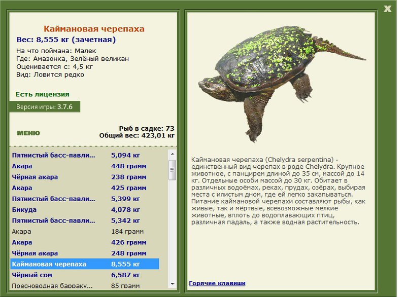 турниры • РУССКАЯ РЫБАЛКА