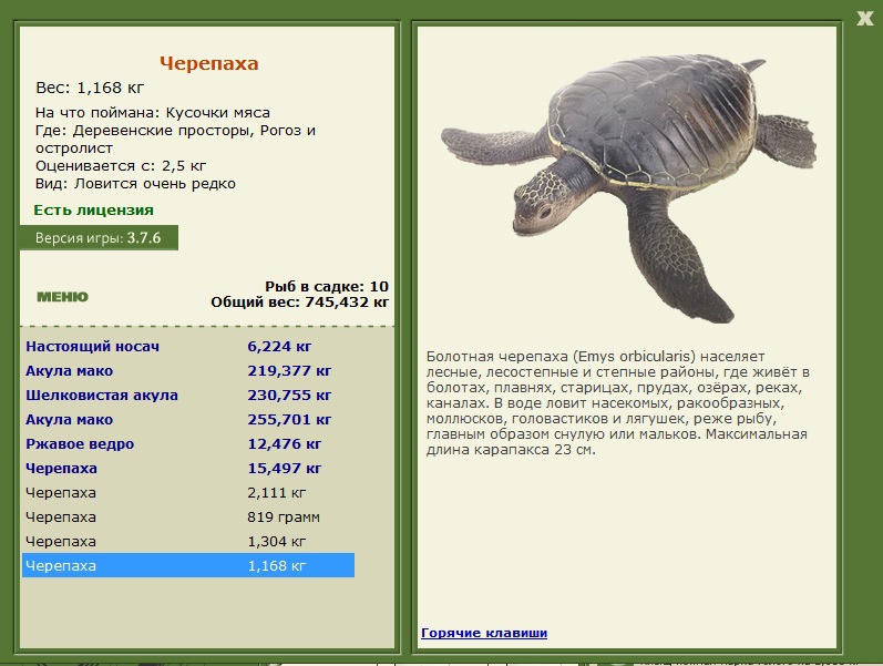 турниры • РУССКАЯ РЫБАЛКА