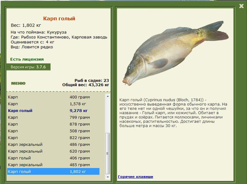 турниры • РУССКАЯ РЫБАЛКА