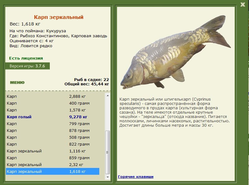 турниры • РУССКАЯ РЫБАЛКА