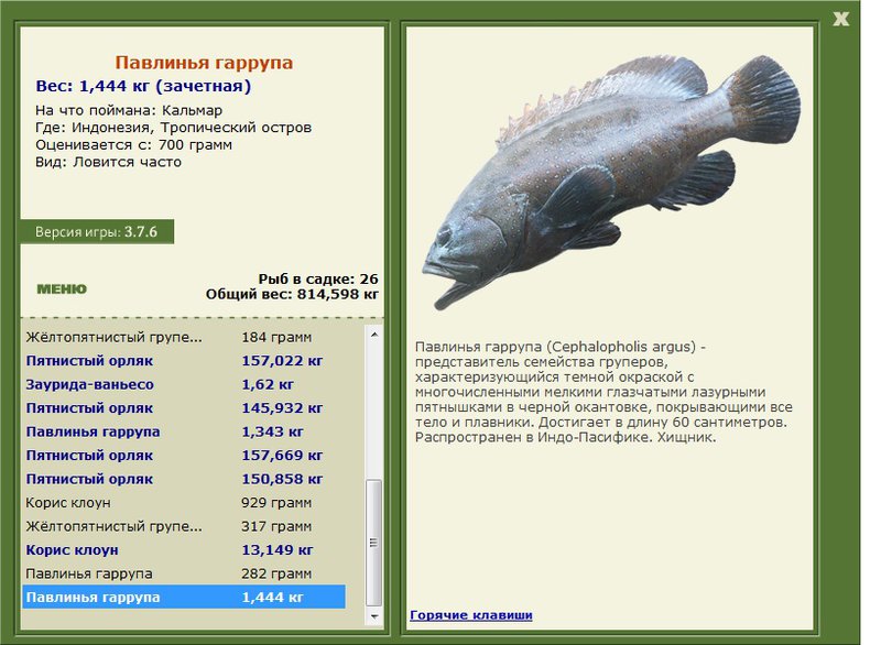 турниры • РУССКАЯ РЫБАЛКА
