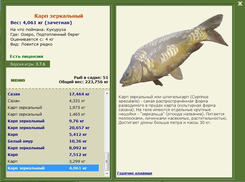 турниры • РУССКАЯ РЫБАЛКА