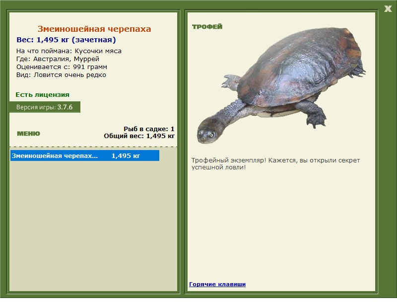 Змеиношейная черепаха 
