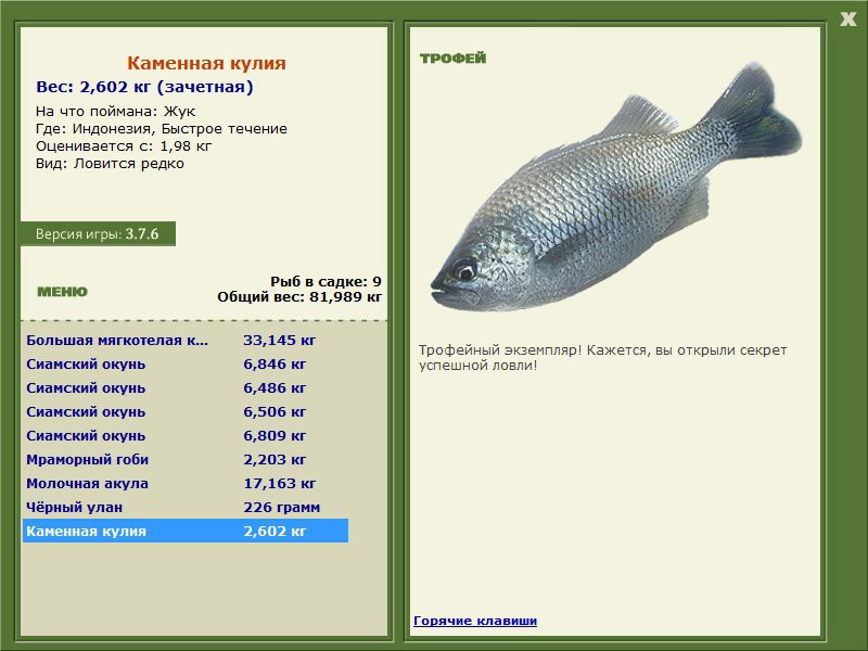 Каменная кулия 