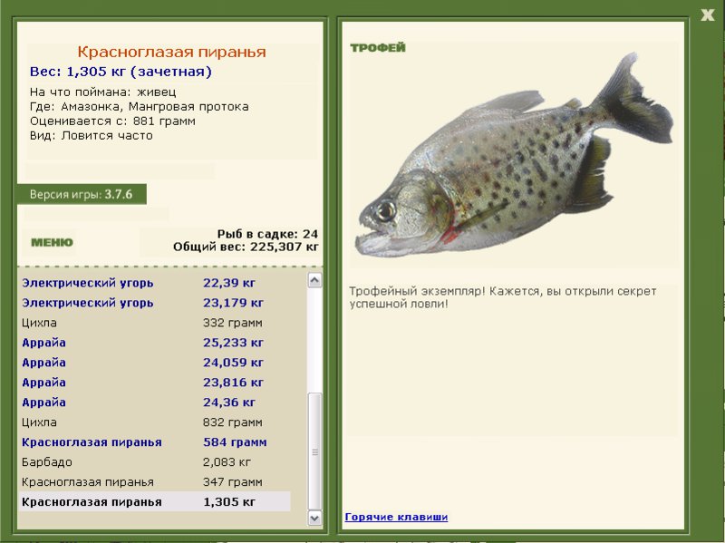 турниры • РУССКАЯ РЫБАЛКА