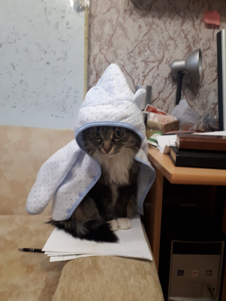 ФОРУМ ЛЮБИТЕЛЕЙ КОЛЛИ И ШЕЛТИ 