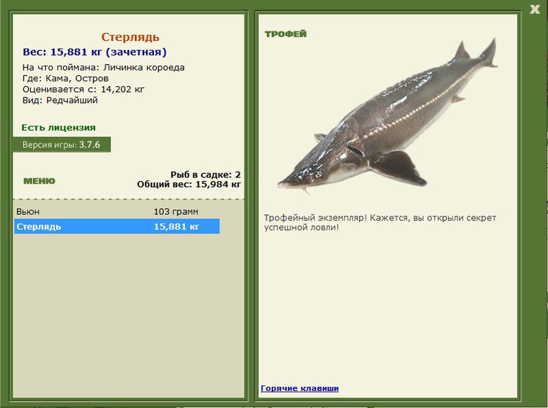 Остров 