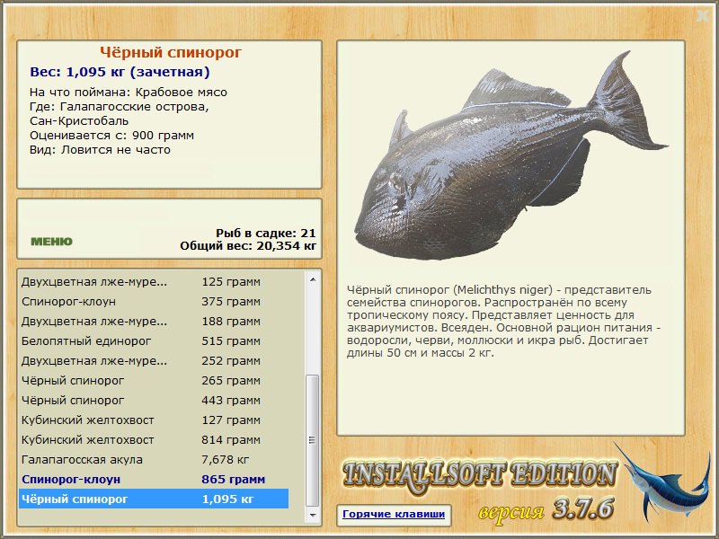 турниры • РУССКАЯ РЫБАЛКА