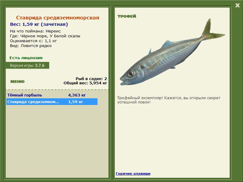 У Белой скалы 