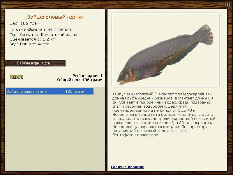 Камчатский залив 