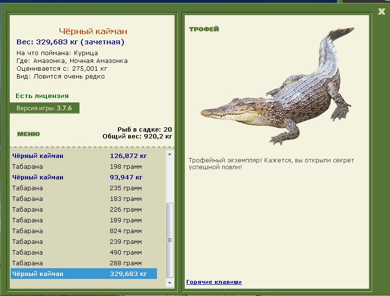 Чёрный кайман 