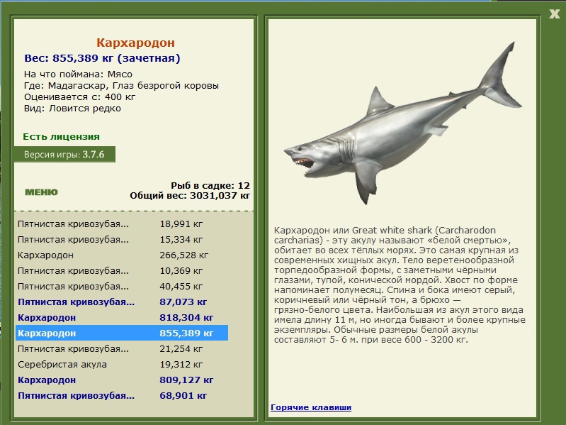 Глаз безрогой коровы 