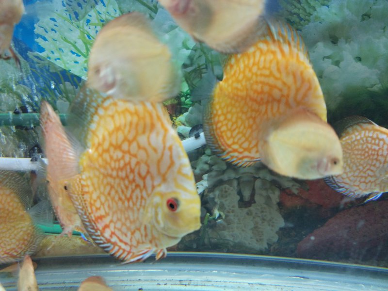  Начать новую тему