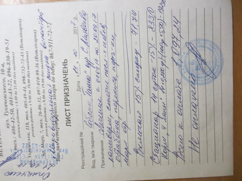 Общий финансовый отчет счетов Матвеевой 