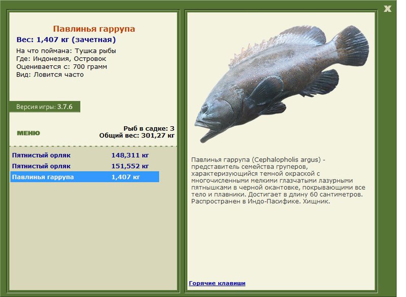 турниры • РУССКАЯ РЫБАЛКА