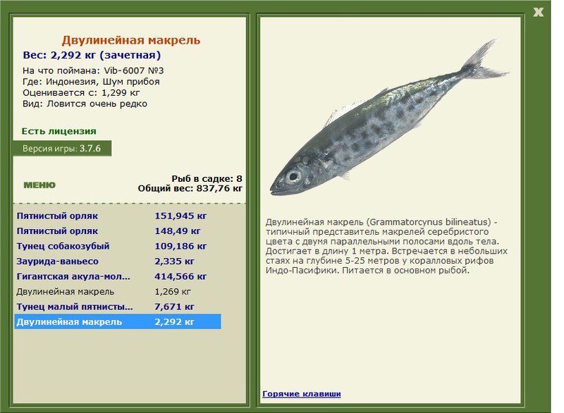 турниры • РУССКАЯ РЫБАЛКА