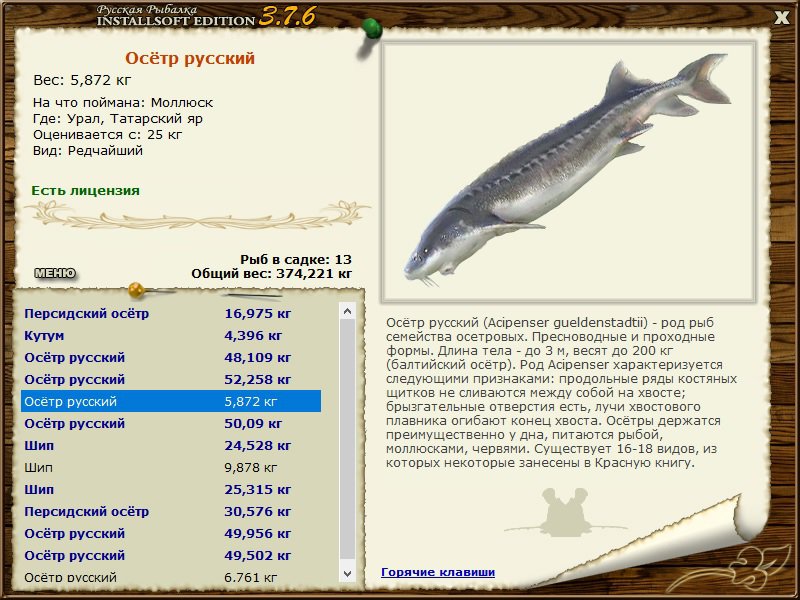 Русская Рыбалка 4 Магазин Справочник По Ценам