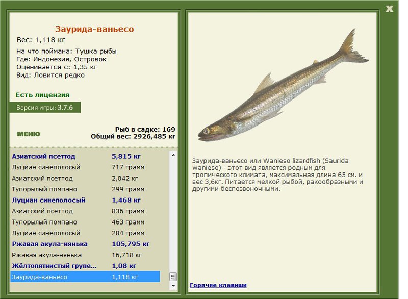турниры • РУССКАЯ РЫБАЛКА