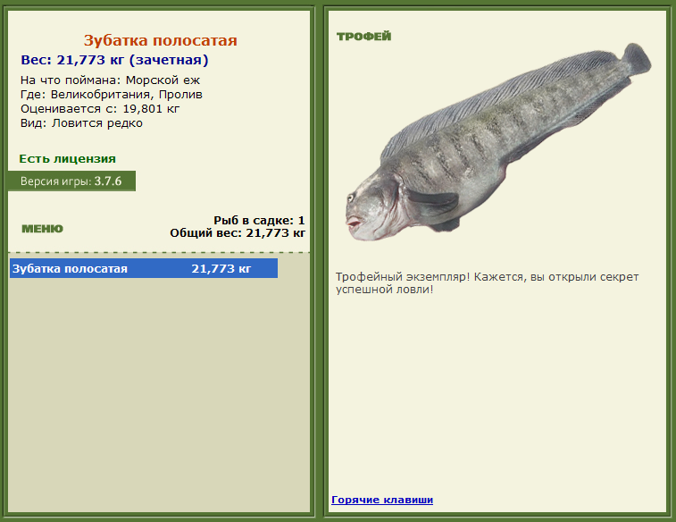 турниры • РУССКАЯ РЫБАЛКА