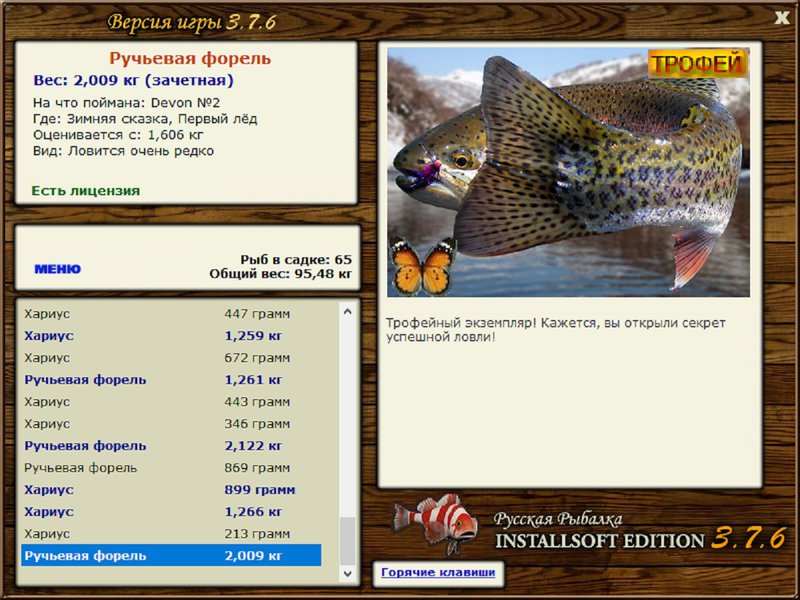 Ручьевая форель 