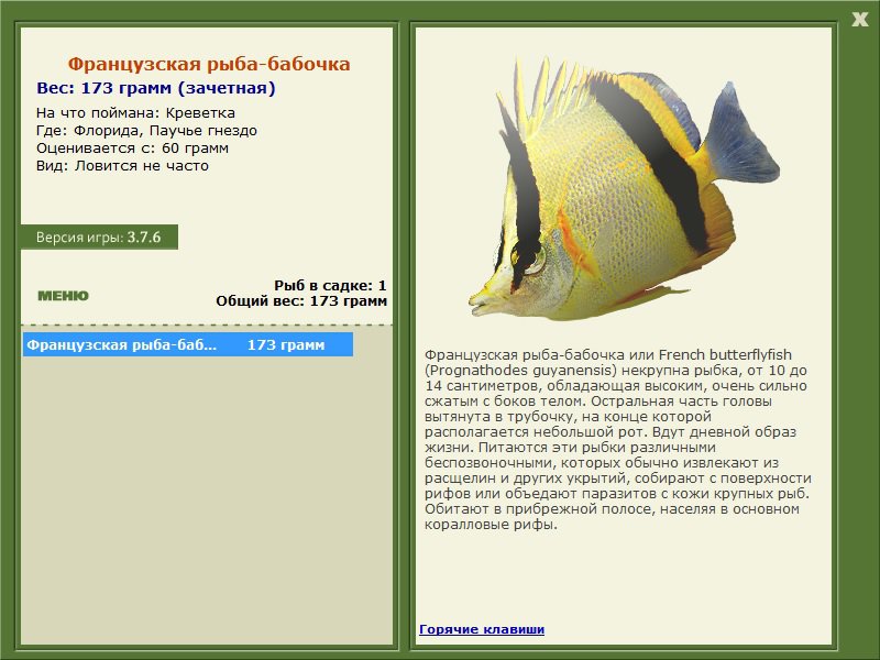 Паучье гнездо 