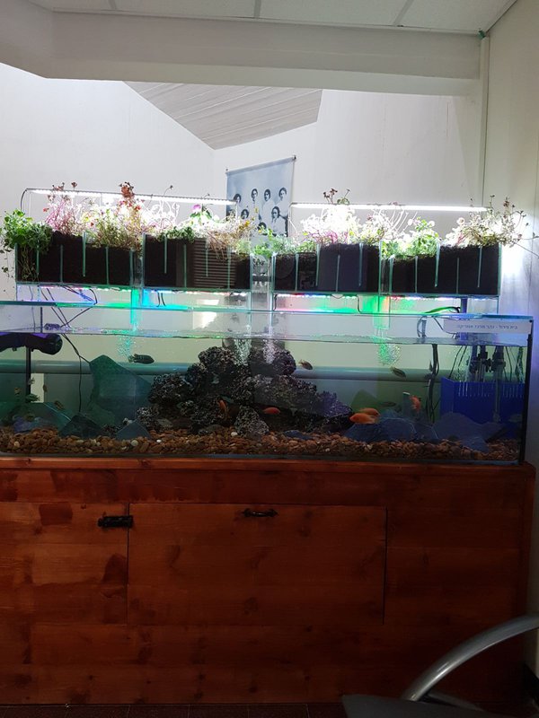  Редактировать сообщение