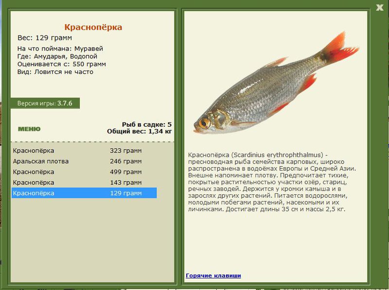 РУССКАЯ РЫБАЛКА Installsoft Edition 