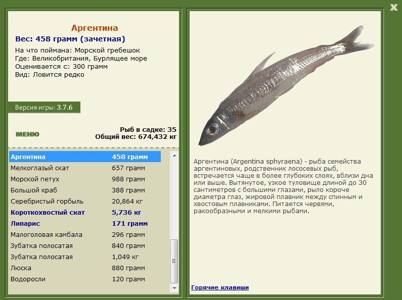 Бурлящее море 