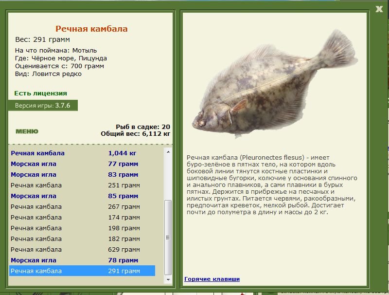 РУССКАЯ РЫБАЛКА Installsoft Edition 