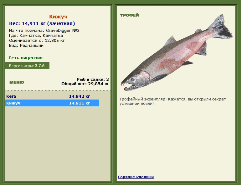 Chinook Culture Chinook Culture Salmon, Animal symbolism, Salmon run