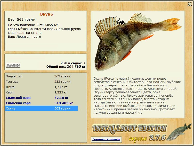 Небольшой шторм 