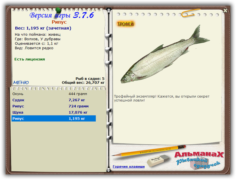 Рипус 