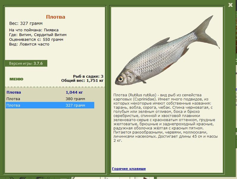 РУССКАЯ РЫБАЛКА Installsoft Edition 