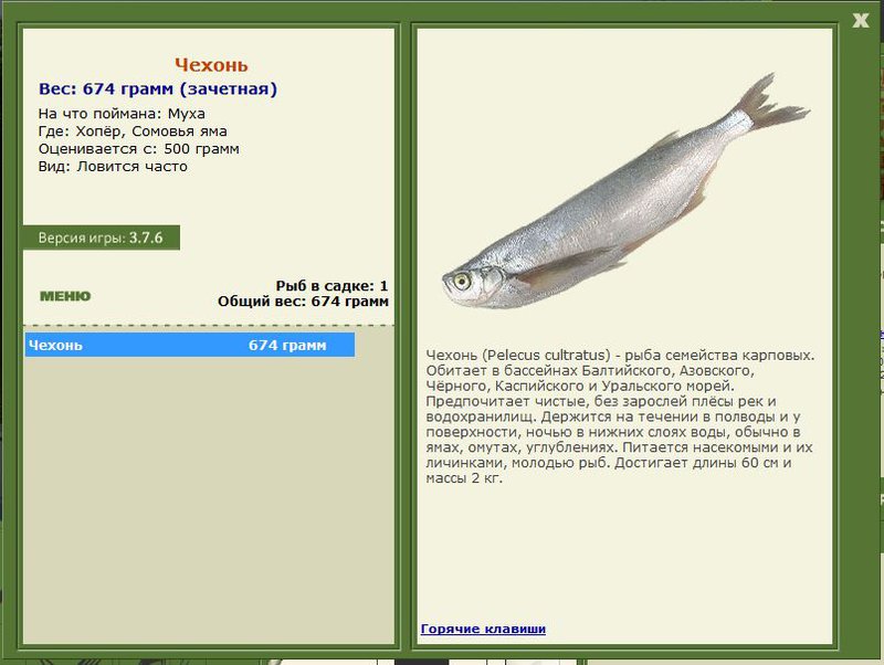 РУССКАЯ РЫБАЛКА Installsoft Edition 