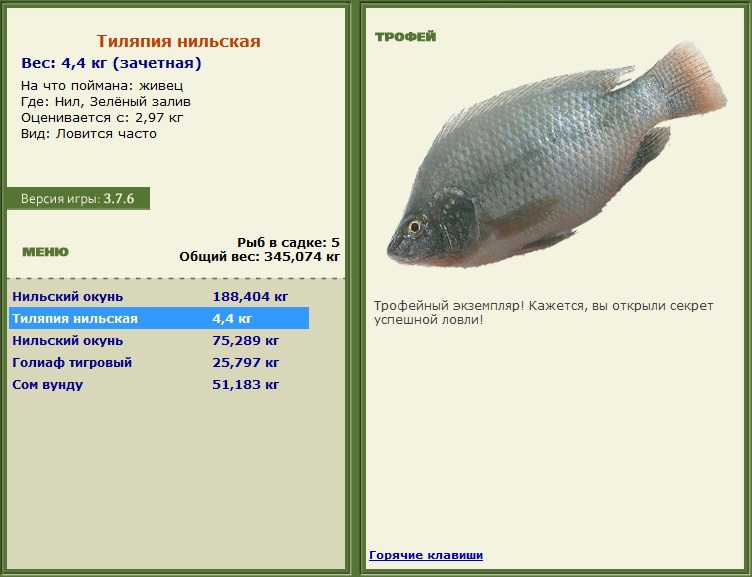 Зелёный залив 