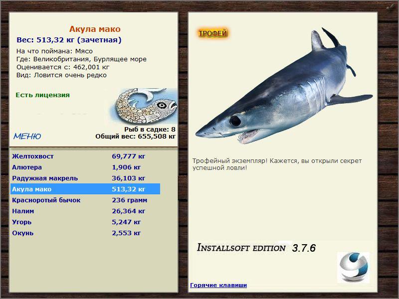 Бурлящее море 