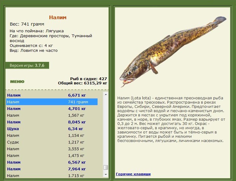 турниры • РУССКАЯ РЫБАЛКА