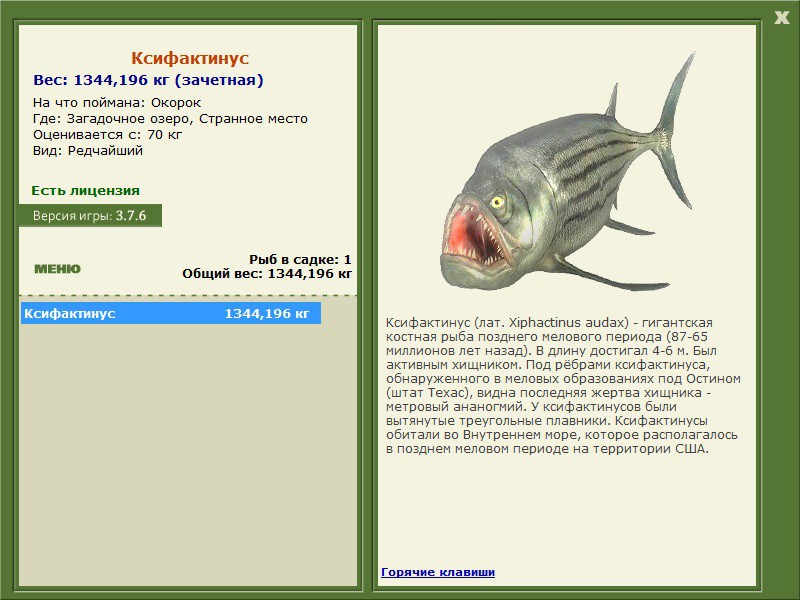Ксифактинус 