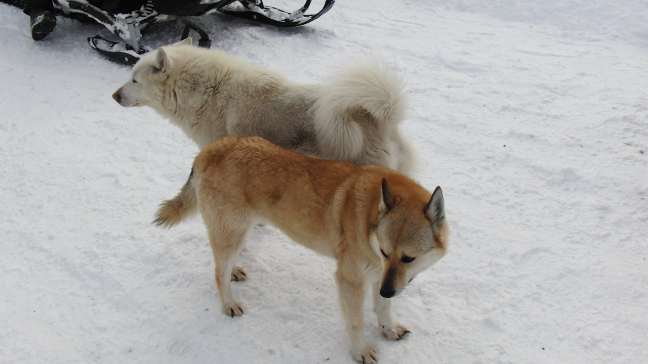 Рыболовный клуб «Берег» 