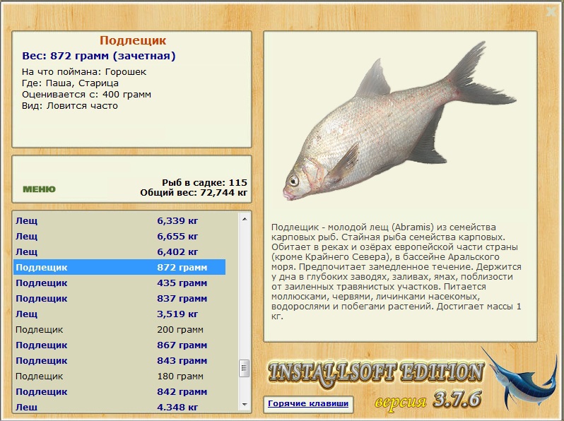Старица 
