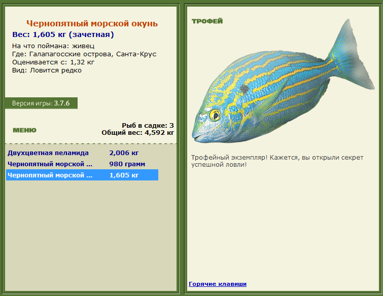 турниры • РУССКАЯ РЫБАЛКА