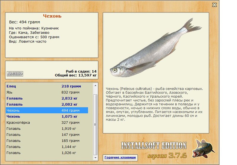 Russian Fishing 4 - Trophy Sichel at Seversky Donets River - YouTube