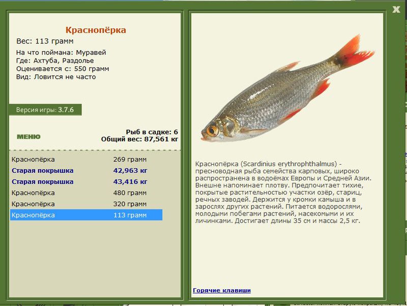 РУССКАЯ РЫБАЛКА Installsoft Edition 