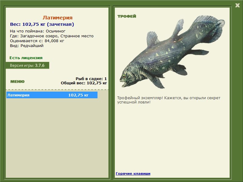 Странное место 