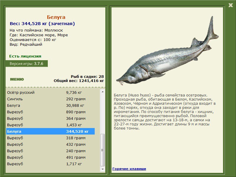  Максимальный Вес • Praise-турниры • РУССКАЯ РЫБАЛКА