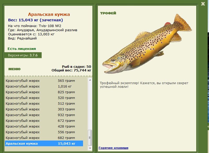 Амударьинский разлив 