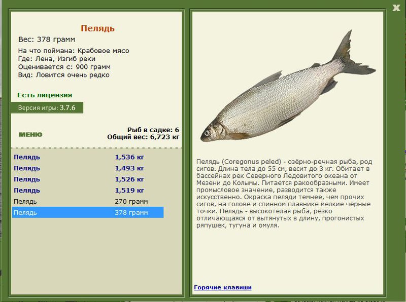 РУССКАЯ РЫБАЛКА Installsoft Edition 