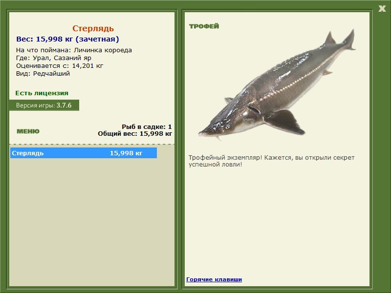 Сазаний яр 