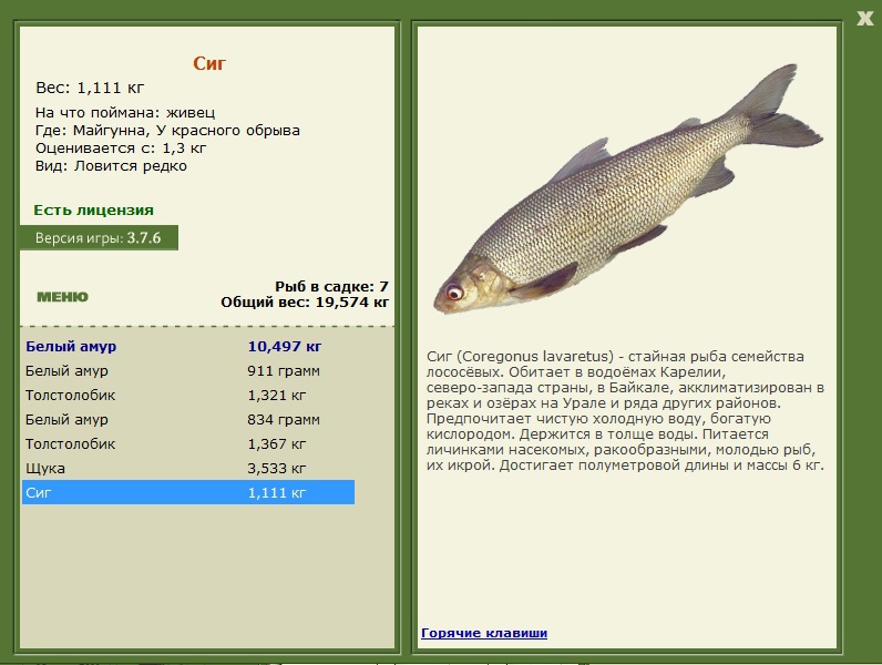 турниры • РУССКАЯ РЫБАЛКА